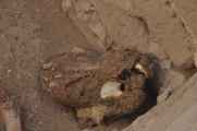 074 110507 Nazca