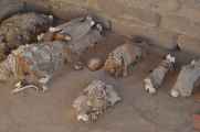 092 110507 Nazca