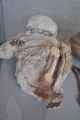 095 110507 Nazca