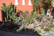 016 110508 Arequipa
