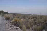 035 110509 Arequipa
