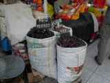 072 110509 Arequipa