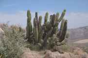 009 110510 Arequipa-Chivay