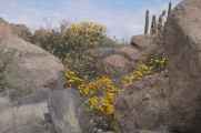 010 110510 Arequipa-Chivay