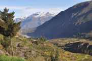 023 110511 Colca Canyon