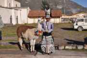 036 110511 Colca Canyon