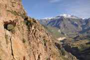 043 110511 Colca Canyon