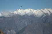 067 110511 Colca Canyon