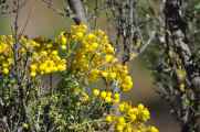 090 110511 Colca Canyon