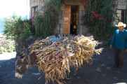 110 110511 Colca Canyon