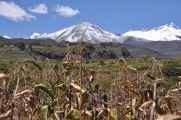 117 110511 Colca Canyon