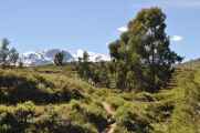 118 110511 Colca Canyon