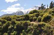 119 110511 Colca Canyon