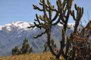 121 110511 Colca Canyon