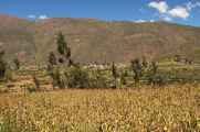 122 110511 Colca Canyon