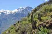 126 110511 Colca Canyon