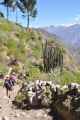127 110511 Colca Canyon
