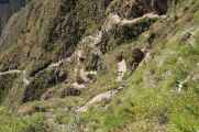 129 110511 Colca Canyon