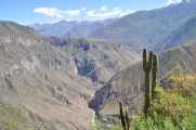 138 110511 Colca Canyon