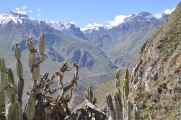 140 110511 Colca Canyon