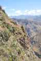 142 110511 Colca Canyon