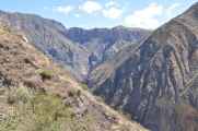 146 110511 Colca Canyon