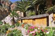 153 110511 Colca Canyon