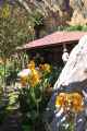 156 110511 Colca Canyon