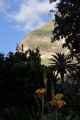 161 110511 Colca Canyon