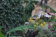 162 110511 Colca Canyon