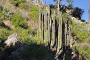 004 110512 Colca-Puno