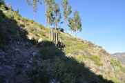 005 110512 Colca-Puno