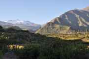 006 110512 Colca-Puno