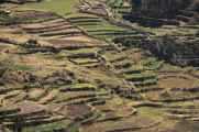 011 110512 Colca-Puno