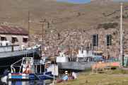 019 110513 Puno