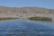020 110513 Puno