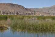021 110513 Puno