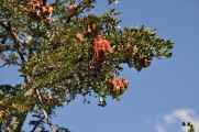 019 110517 Inca Trail 1