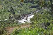 026 110517 Inca Trail 1