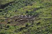 027 110517 Inca Trail 1