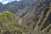 031 110517 Inca Trail 1