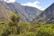 032 110517 Inca Trail 1