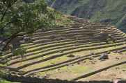 037 110517 Inca Trail 1