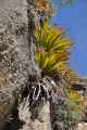 040 110517 Inca Trail 1