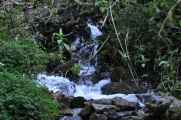 008 110518 Inca Trail 2