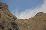 026 110518 Inca Trail 2