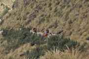 029 110518 Inca Trail 2