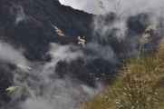 038 110518 Inca Trail 2