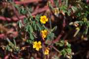 041 110518 Inca Trail 2