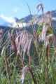 009 110519 Inca Trail 3